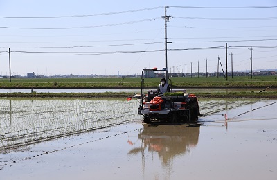 県内トップを切って田植えスタート 昨年以上の収量を目標に