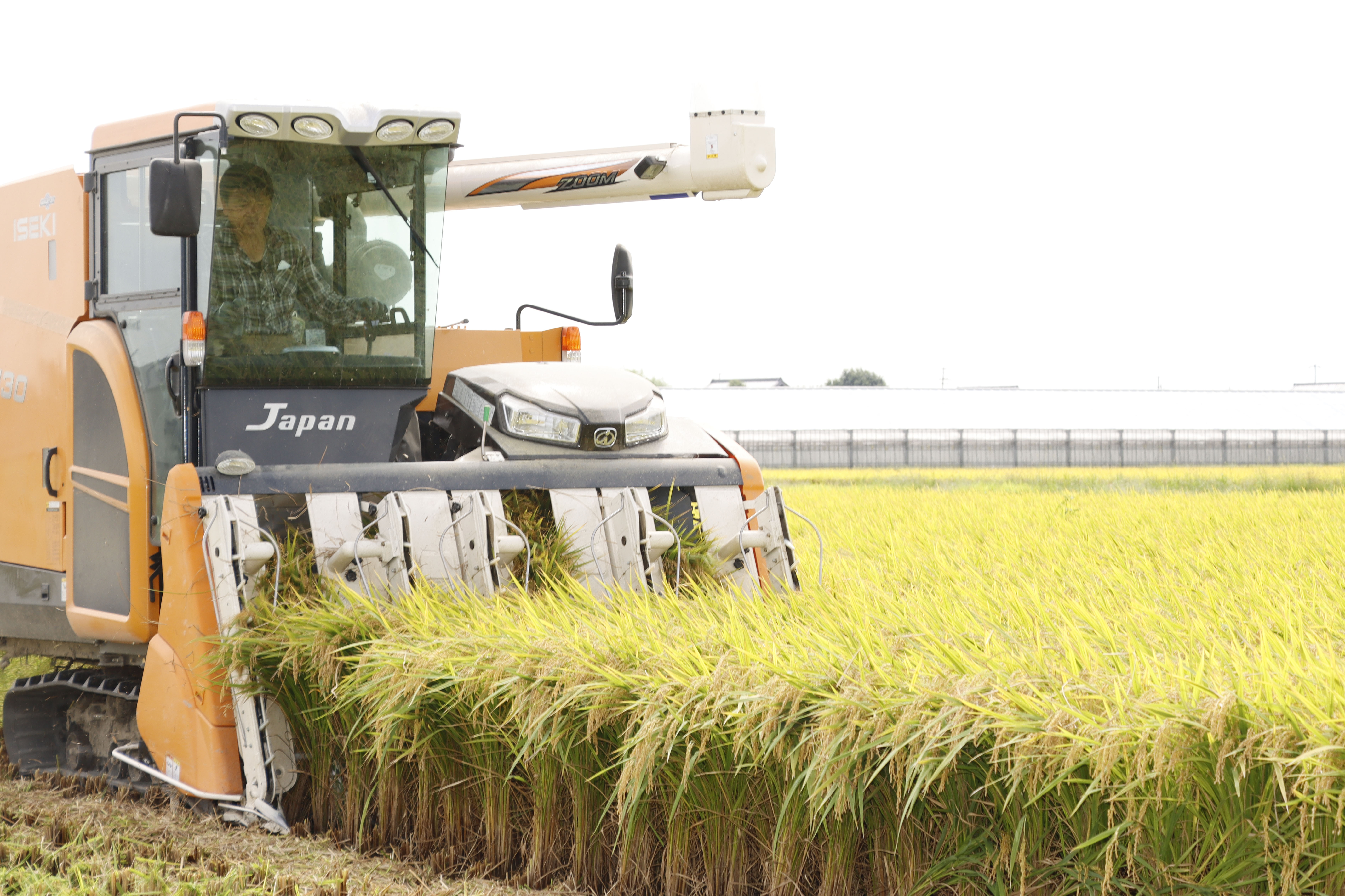 「ほしじるし」拡大　農家所得向上を目指して