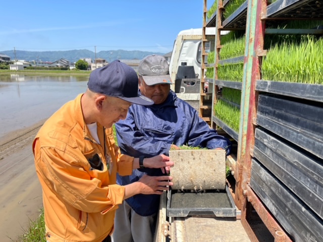 水稲生産の低コスト・省力化を目指し 高密度播種苗移植栽培拡大へ